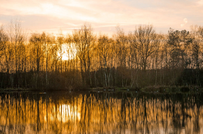 <i class='fa fa-user'></i>&nbsp;Truus Aletta Maan&nbsp;|  Zonsondergang&nbsp; <i class='fa fa-eye'>&nbsp;53</i> &nbsp; <i class='fa fa-comment-o'>&nbsp;1</i>