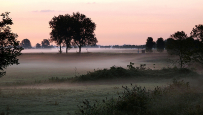 <i class='fa fa-user'></i>&nbsp;Nel R&nbsp;|  Mist in de polder&nbsp; <i class='fa fa-eye'>&nbsp;109</i> &nbsp;<i class='fa fa-thumbs-up'>&nbsp;4</i> &nbsp; <i class='fa fa-comment-o'>&nbsp;4</i>
