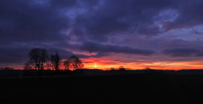 Gisteren meegefietst met iemand die een fietsronde deed voor de vogeltelling van Sovon. Een half uur voor zonsopgang zag ik deze fantastische lucht. Wat een mazzel dat we vroeg hadden afgesproken. Eerst nl. nog in een vogelhut aan de IJssel gezeten om de overnachtende vogels te zien wegtrekken.