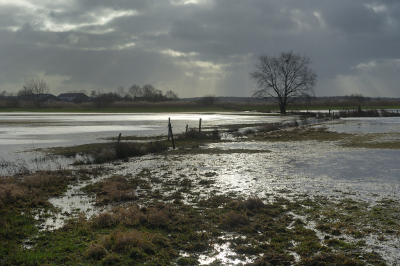 <i class='fa fa-user'></i>&nbsp;Hendrik van Kampen&nbsp;|  Blessebroggepolder&nbsp; <i class='fa fa-eye'>&nbsp;139</i> &nbsp;<i class='fa fa-thumbs-up'>&nbsp;9</i> &nbsp; <i class='fa fa-comment-o'>&nbsp;10</i>