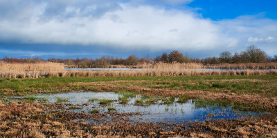 De Deelen is een oud verveningsgebied met veel trekgaten en rietlanden. Tijdens een wandeling brak even de zon door.