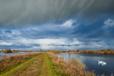 <i class='fa fa-user'></i>&nbsp;HenkvanOosten&nbsp;|  Laagveenreservaat de Deelen&nbsp; <i class='fa fa-eye'>&nbsp;104</i> &nbsp;<i class='fa fa-thumbs-up'>&nbsp;2</i> &nbsp; <i class='fa fa-comment-o'>&nbsp;4</i>