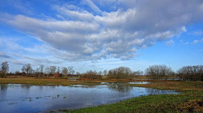 Op de laatste dag van onze vakantieweek te holten kwam de zon erdoor! Helaas veel grauwe dagen. Gelukkig lest best.
Iets over het gebied:Het nieuwe natuurgebied Overtoom Middelveen ligt tussen Rijssen en Holten. Het is ontstaan om een verbinding te realiseren tussen de Sallandse Heuvelrug en natuurgebied de Borkeld en het Elsenerveen (veld).

Het gebied is uniek doordat kwelwater weer aan het oppervlakte komt en daardoor zeldzame planten en vegetaties ontstaan. Er liggen in het gebied op diverse plekken enorme stapstenen. In Nederland zijn deze kwelgebieden in aantal beperkt aanwezig, zodat de overheid het ook als kerngebied heeft aangemerkt!
Door deze natte natuur in relatie met de openheid van het gebied, is het een paradijs voor flora en fauna. Water en weidevogels, hazen en patrijzen zijn 'vaste stamgasten' alsmede vlinders en andere insecten. Helaas waren de hazen en weidevogels niet aanwezig. De patrijzen wel!