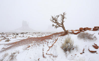 <i class='fa fa-user'></i>&nbsp;thijsglastra&nbsp;|  Monument Valley&nbsp; <i class='fa fa-eye'>&nbsp;241</i> &nbsp;<i class='fa fa-thumbs-up'>&nbsp;21</i> &nbsp; <i class='fa fa-comment-o'>&nbsp;12</i>