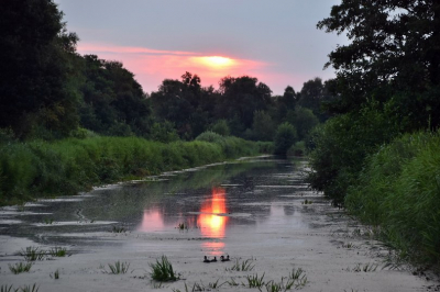 S ochtends vroeg tijdens de zonsopkomst boven het water in de zomer in Friesland