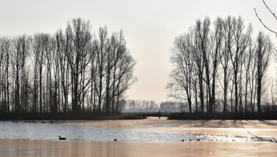 <i class='fa fa-user'></i>&nbsp;Abap&nbsp;|  Gouden zonsopkomst&nbsp; <i class='fa fa-eye'>&nbsp;103</i> &nbsp; <i class='fa fa-comment-o'>&nbsp;1</i>