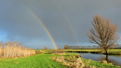 <i class='fa fa-user'></i>&nbsp;kooyammers&nbsp;|  Regenbogen&nbsp; <i class='fa fa-eye'>&nbsp;82</i> &nbsp;<i class='fa fa-thumbs-up'>&nbsp;1</i> &nbsp; <i class='fa fa-comment-o'>&nbsp;6</i>