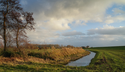 <i class='fa fa-user'></i>&nbsp;Ben Aalders&nbsp;|  IJsseldijk&nbsp; <i class='fa fa-eye'>&nbsp;98</i> &nbsp;<i class='fa fa-thumbs-up'>&nbsp;4</i> &nbsp; <i class='fa fa-comment-o'>&nbsp;8</i>