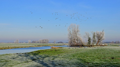 <i class='fa fa-user'></i>&nbsp;kooyammers&nbsp;|  Een vleugje winter&nbsp; <i class='fa fa-eye'>&nbsp;98</i> &nbsp;<i class='fa fa-thumbs-up'>&nbsp;4</i> &nbsp; <i class='fa fa-comment-o'>&nbsp;8</i>
