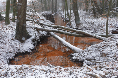 In het westen was het al eerder begonnen te sneeuwen. Het duurde even voordat de Veluwe bereikt werd. Gelukkig ging het toen heel snel. De rode beek is mooi contrasterend met de sneeuw.