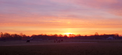 <i class='fa fa-user'></i>&nbsp;Guido&nbsp;|  Morgenrood&nbsp; <i class='fa fa-eye'>&nbsp;65</i> &nbsp;<i class='fa fa-thumbs-up'>&nbsp;2</i> &nbsp; <i class='fa fa-comment-o'>&nbsp;3</i>