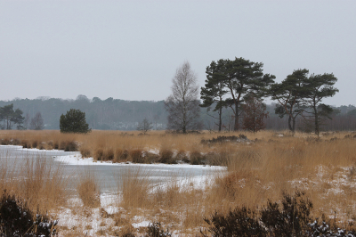 <i class='fa fa-user'></i>&nbsp;Paul Vandebroek&nbsp;|  Winterlandschap&nbsp; <i class='fa fa-eye'>&nbsp;118</i> &nbsp; <i class='fa fa-comment-o'>&nbsp;5</i>