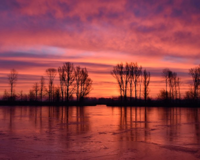 Wat een bijzondere zonsopkomst met hele mooie winterse kleuren mocht ik eergisteren ochtend mee maken