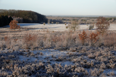 Voordat het echt ging sneeuwen was er al wat winterse rijp. Ik, ga graag naar bekende plekken om de weersverschillen te zien.