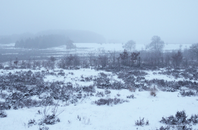 Een week later geheel andere omstandigheden. Iets andere invalshoek. Terwijl ik er stond kwam de mist op. En als ik er nu heen zou gaan zou het weer een geheel andere foto worden. De sneeuw om huis is na 1 nacht totaal verdwenen.  Het is dan ook meer dan 10 graden warmer!