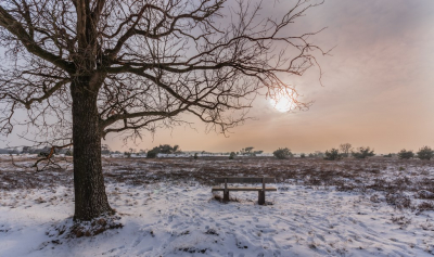 Toen de zon wat ging zakken kleurde de lucht erg mooi. Jammer dat er niet meer sneeuw was blijven liggen.