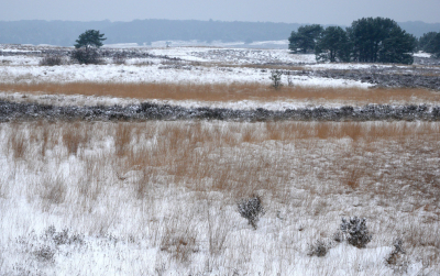 <i class='fa fa-user'></i>&nbsp;nelappelmelk&nbsp;|  Sneeuwlandschap&nbsp; <i class='fa fa-eye'>&nbsp;96</i> &nbsp; <i class='fa fa-comment-o'>&nbsp;5</i>