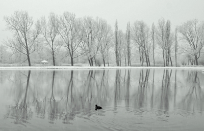 <i class='fa fa-user'></i>&nbsp;Nel R&nbsp;|  Winter in Zeeland&nbsp; <i class='fa fa-eye'>&nbsp;99</i> &nbsp;<i class='fa fa-thumbs-up'>&nbsp;4</i> &nbsp; <i class='fa fa-comment-o'>&nbsp;8</i>