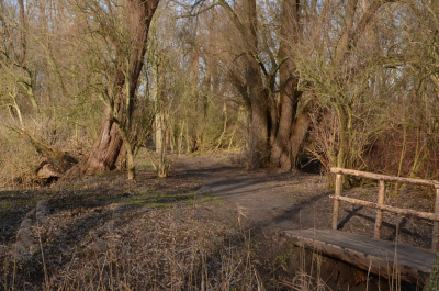 <i class='fa fa-user'></i>&nbsp;B.M.Schouten-Ruis&nbsp;|  Oude polder De Esch&nbsp; <i class='fa fa-eye'>&nbsp;97</i> &nbsp; <i class='fa fa-comment-o'>&nbsp;4</i>