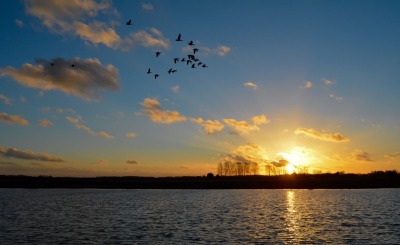 Zonsondergang langs de Maas. Dit is een van mijn favoriete plekjes waar ik regelmatig te vinden ben. Alle jaargetijden en alle tijdstippen zijn mooi en er valt wel wat te beleven.