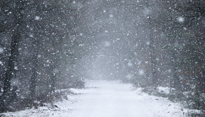 Thuis begon het flink te sneeuwen. Maar het bleef niet liggen. En de oude sneeuw was helemaal weg gedooid. Richting Hoenderloo gereden. Bij het Leesten (3 km van huis)lag nog een pak sneeuw. Bij de Waterberg gestopt en genoten van nog een grote hoeveelheid sneeuw. Deze keer waren het hele kleine vlokjes.