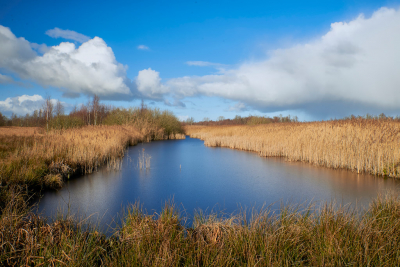 <i class='fa fa-user'></i>&nbsp;HenkvanOosten&nbsp;|  Nationaal Park De Alde Feanen&nbsp; <i class='fa fa-eye'>&nbsp;77</i> &nbsp;<i class='fa fa-thumbs-up'>&nbsp;1</i> &nbsp; <i class='fa fa-comment-o'>&nbsp;3</i>