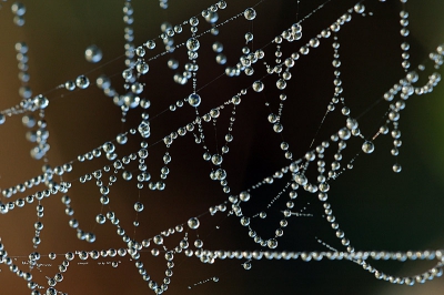 <i class='fa fa-user'></i>&nbsp;Daniel1975&nbsp;| Parels&nbsp; <i class='fa fa-eye'>&nbsp;137</i> &nbsp; <i class='fa fa-comment-o'>&nbsp;3</i>