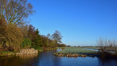 <i class='fa fa-user'></i>&nbsp;kooyammers&nbsp;|  Bos in de Polder&nbsp; <i class='fa fa-eye'>&nbsp;74</i> &nbsp;<i class='fa fa-thumbs-up'>&nbsp;2</i> &nbsp; <i class='fa fa-comment-o'>&nbsp;3</i>