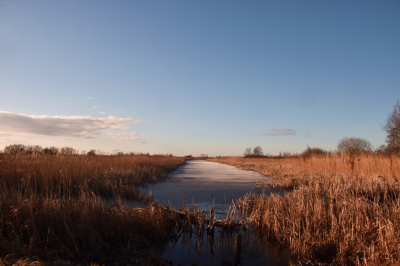 Op een mooie winterdag afgelopen zondagochtend deze foto gemaakt in de prachtige natuur van zuid friesland