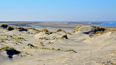 <i class='fa fa-user'></i>&nbsp;kooyammers&nbsp;|  Duinen en Strand Kwade Hoek&nbsp; <i class='fa fa-eye'>&nbsp;86</i> &nbsp; <i class='fa fa-comment-o'>&nbsp;3</i>