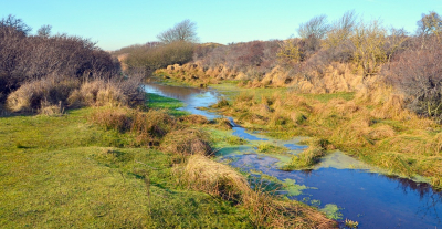 <i class='fa fa-user'></i>&nbsp;B.M.Schouten-Ruis&nbsp;|  Amsterdamse Waterleiding Duinen&nbsp; <i class='fa fa-eye'>&nbsp;100</i> &nbsp; <i class='fa fa-comment-o'>&nbsp;6</i>
