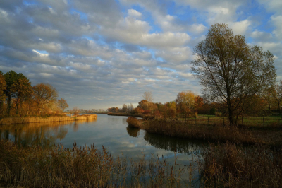 <i class='fa fa-user'></i>&nbsp;Nel R&nbsp;|  Rietlandschap&nbsp; <i class='fa fa-eye'>&nbsp;114</i> &nbsp;<i class='fa fa-thumbs-up'>&nbsp;11</i> &nbsp; <i class='fa fa-comment-o'>&nbsp;8</i>