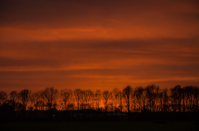 <i class='fa fa-user'></i>&nbsp;Truus Aletta Maan&nbsp;|  Zonsondergang&nbsp; <i class='fa fa-eye'>&nbsp;70</i> &nbsp;<i class='fa fa-thumbs-up'>&nbsp;1</i> &nbsp; <i class='fa fa-comment-o'>&nbsp;6</i>