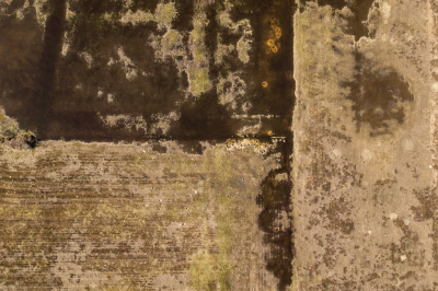 <i class='fa fa-user'></i>&nbsp;Arjen Drost&nbsp;|  Plas-dras&nbsp; <i class='fa fa-eye'>&nbsp;136</i> &nbsp; <i class='fa fa-comment-o'>&nbsp;8</i>