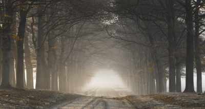 <i class='fa fa-user'></i>&nbsp;Mark van Veldhuizen&nbsp;|  Beukenlaan in de mist&nbsp; <i class='fa fa-eye'>&nbsp;119</i> &nbsp;<i class='fa fa-thumbs-up'>&nbsp;2</i> &nbsp; <i class='fa fa-comment-o'>&nbsp;10</i>