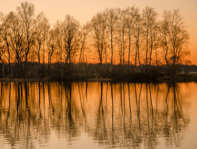 <i class='fa fa-user'></i>&nbsp;Truus Aletta Maan&nbsp;|  Zonsondergang&nbsp; <i class='fa fa-eye'>&nbsp;88</i> &nbsp; <i class='fa fa-comment-o'>&nbsp;2</i>