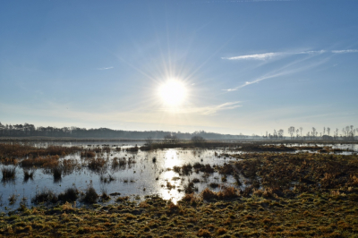 Tijdens een stralend zonnige ochtend afgelopen week, deze foto gemaakt van een mooi plas dras landschap in Friesland