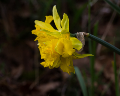 <i class='fa fa-user'></i>&nbsp;Tom van der Most&nbsp;|  Narcis van Sion&nbsp; <i class='fa fa-eye'>&nbsp;61</i> &nbsp; <i class='fa fa-comment-o'>&nbsp;0</i>