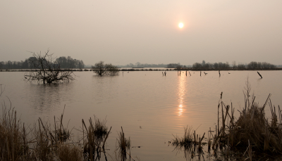 Alweer bijna een jaar geleden dat we in een huisje zeten in Earnewoude.
Vlakbij was een mooi natuurgebied. Elke morgen ging ik daar een kijkje nemen.