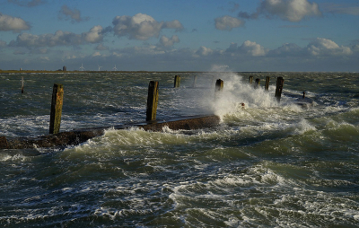 <i class='fa fa-user'></i>&nbsp;Nel R&nbsp;|  Storm over Zeeland&nbsp; <i class='fa fa-eye'>&nbsp;154</i> &nbsp;<i class='fa fa-thumbs-up'>&nbsp;6</i> &nbsp; <i class='fa fa-comment-o'>&nbsp;8</i>