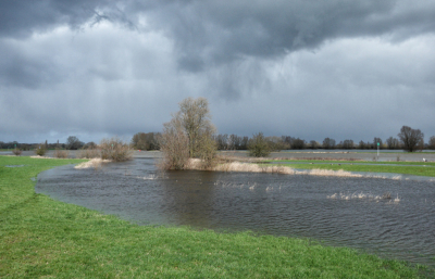 Een week geleden trof ik het dat er heel even mooi licht was voordat de buien losbarstten. Vandaag was ik er weer getuige van. Even later kwam er een heftige en korte hagelbui.