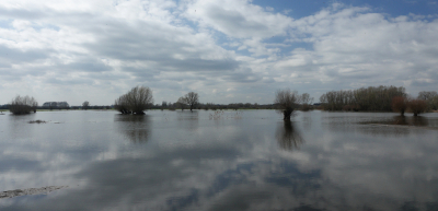 Je ziet het water van de rivier per dag stijgen. Toevallig was ik de dag ervoor op dezelfde plek geweest. Nu was het mooi windstil. Ik kon met de weerspiegelingen spelen.