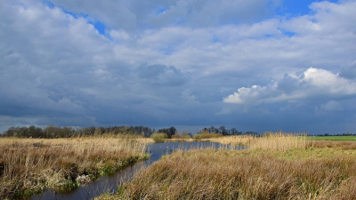 <i class='fa fa-user'></i>&nbsp;kooyammers&nbsp;|  Moeras Hoekse Polder&nbsp; <i class='fa fa-eye'>&nbsp;57</i> &nbsp;<i class='fa fa-thumbs-up'>&nbsp;1</i> &nbsp; <i class='fa fa-comment-o'>&nbsp;4</i>