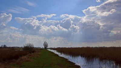 <i class='fa fa-user'></i>&nbsp;kooyammers&nbsp;|  Moeras Hoekse Polder II&nbsp; <i class='fa fa-eye'>&nbsp;61</i> &nbsp;<i class='fa fa-thumbs-up'>&nbsp;1</i> &nbsp; <i class='fa fa-comment-o'>&nbsp;3</i>