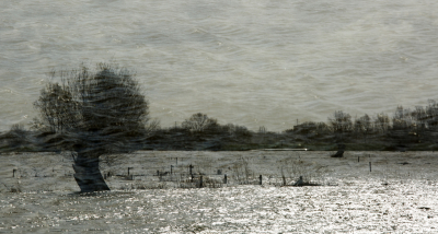 De afgelopen week veel bij de rivier geweest vanwege de dynamiek van het water. Soms was het water in 1 dag behoorlijk gestegen. Nu na het weekend was het weer aardig gedaald. De weilanden waren weer aardig zichtbaar.
Vandaag stormde en regende het zo hard dat ik af en toe in de auto moest schuilen.  En even later scheen de zon weer.