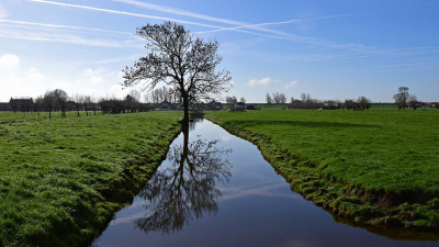 <i class='fa fa-user'></i>&nbsp;kooyammers&nbsp;|  Veenweide - landschap&nbsp; <i class='fa fa-eye'>&nbsp;64</i> &nbsp; <i class='fa fa-comment-o'>&nbsp;3</i>