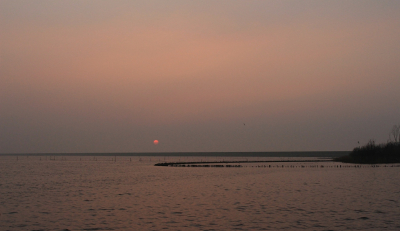 <i class='fa fa-user'></i>&nbsp;Tineke Strijbosch&nbsp;|  Zonsondergang&nbsp; <i class='fa fa-eye'>&nbsp;82</i> &nbsp;<i class='fa fa-thumbs-up'>&nbsp;1</i> &nbsp; <i class='fa fa-comment-o'>&nbsp;4</i>