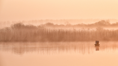 Weer terug van een heerlijke week in het Lauwersmeergebied. Een fantastisch huisje op park Suyderoog.
 De eerste morgen aldaar bleek achteraf de mooiste. Mooi mistig en een diffuse zon.