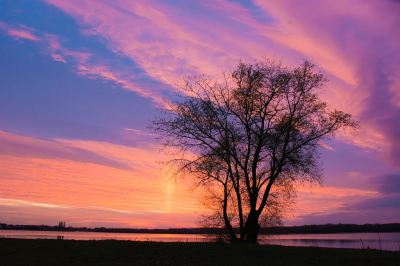 <i class='fa fa-user'></i>&nbsp;Bert Veerman&nbsp;|  Zonsondergang&nbsp; <i class='fa fa-eye'>&nbsp;109</i> &nbsp;<i class='fa fa-thumbs-up'>&nbsp;6</i> &nbsp; <i class='fa fa-comment-o'>&nbsp;8</i>