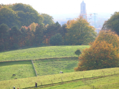 Tijdens de NS wandeling "De StenenTafel" heb ik deze foto gemaakt. Het lijnenspel in het landschap met herfstkleuren sprak mij zeer aan.